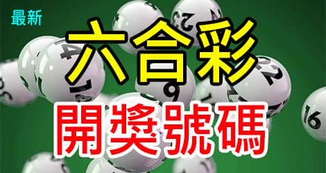 六合彩長期養牌