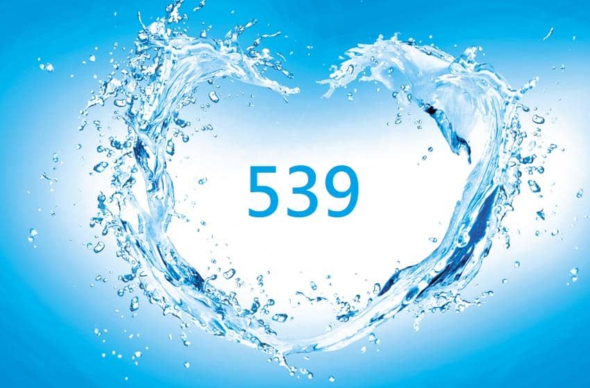 539心水區