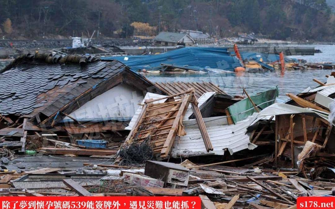 除了夢到懷孕號碼539能簽牌外，遇見災難也能抓？