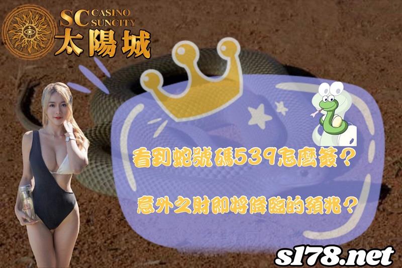 看到蛇號碼539怎麼簽?意外之財即將降臨的預兆?