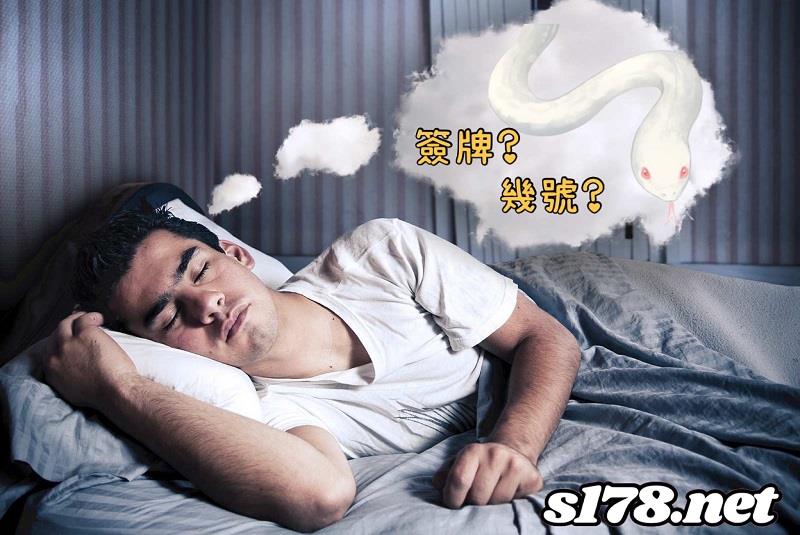 夢到蛇簽牌
