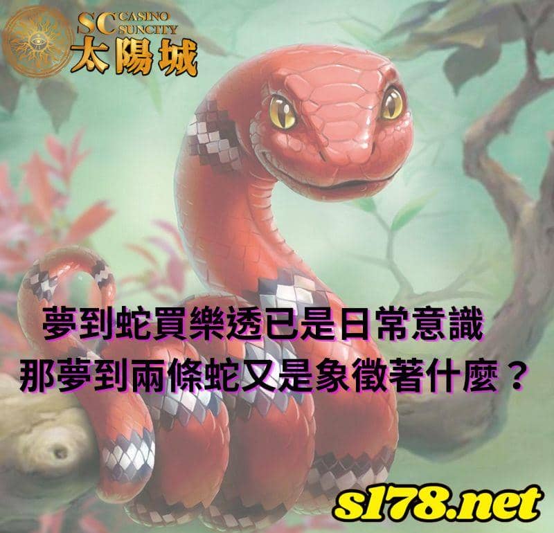 夢到蛇買樂透已是日常意識,那夢到兩條蛇又是象徵著什麼?