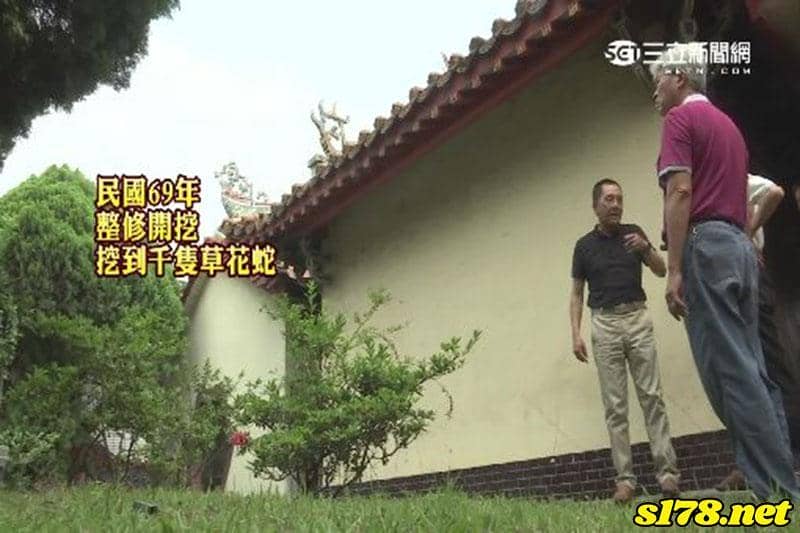 夢見蛇時,是土地公要告誡什麼事情嗎?夢到蛇多久要去拜拜?