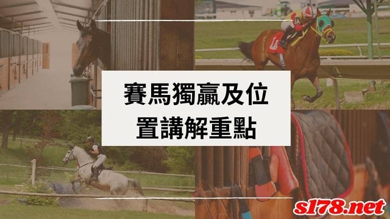 賽馬獨贏及位置