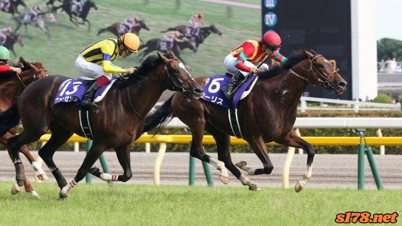 Danon Touchdown(ダノンタッチダウン)練馬師安田隆行