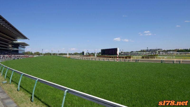 日本賽馬場
