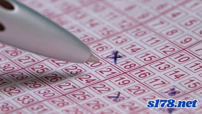 今彩539下期號碼預測