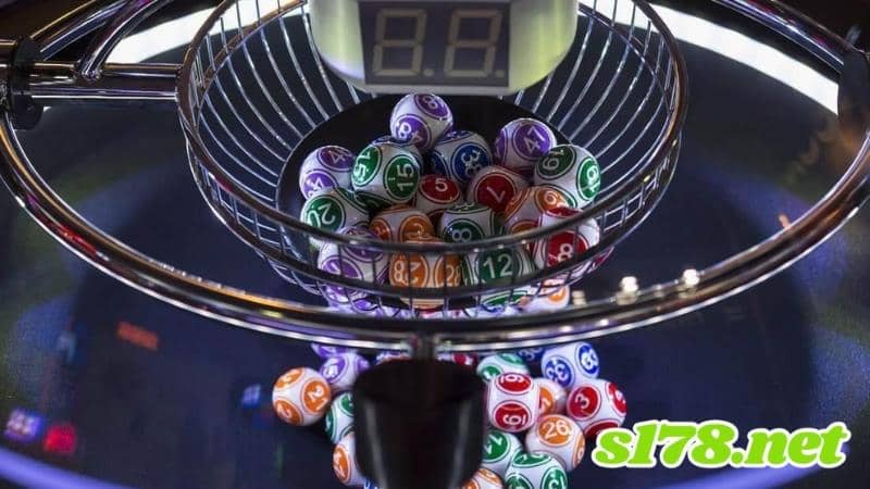 539開獎號碼預測