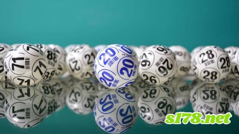 今彩539下期號碼預測