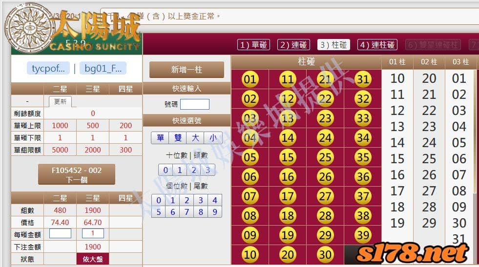 539版路下注參考圖
