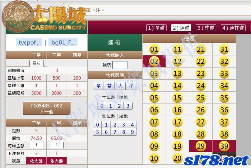 539版路下注參考圖2
