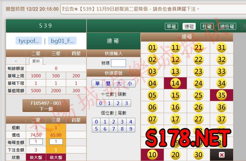 539版路下注參考圖2