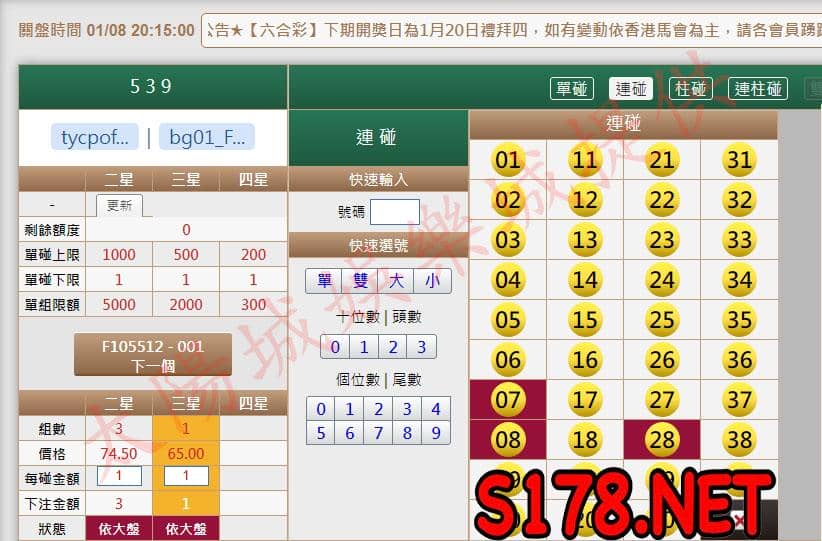 539版路下注參考圖1