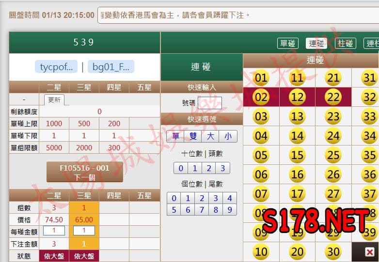 539版路下注參考圖2