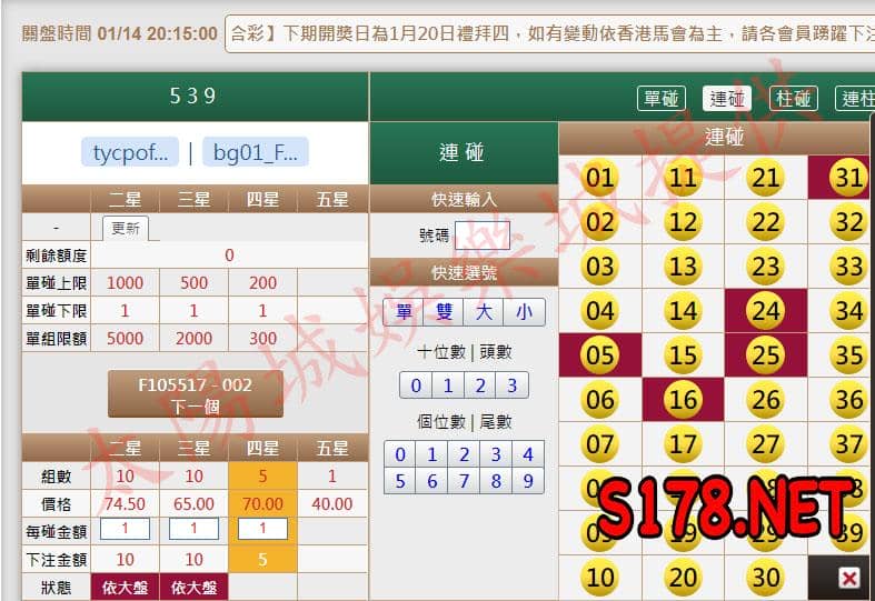 539版路下注參考圖2