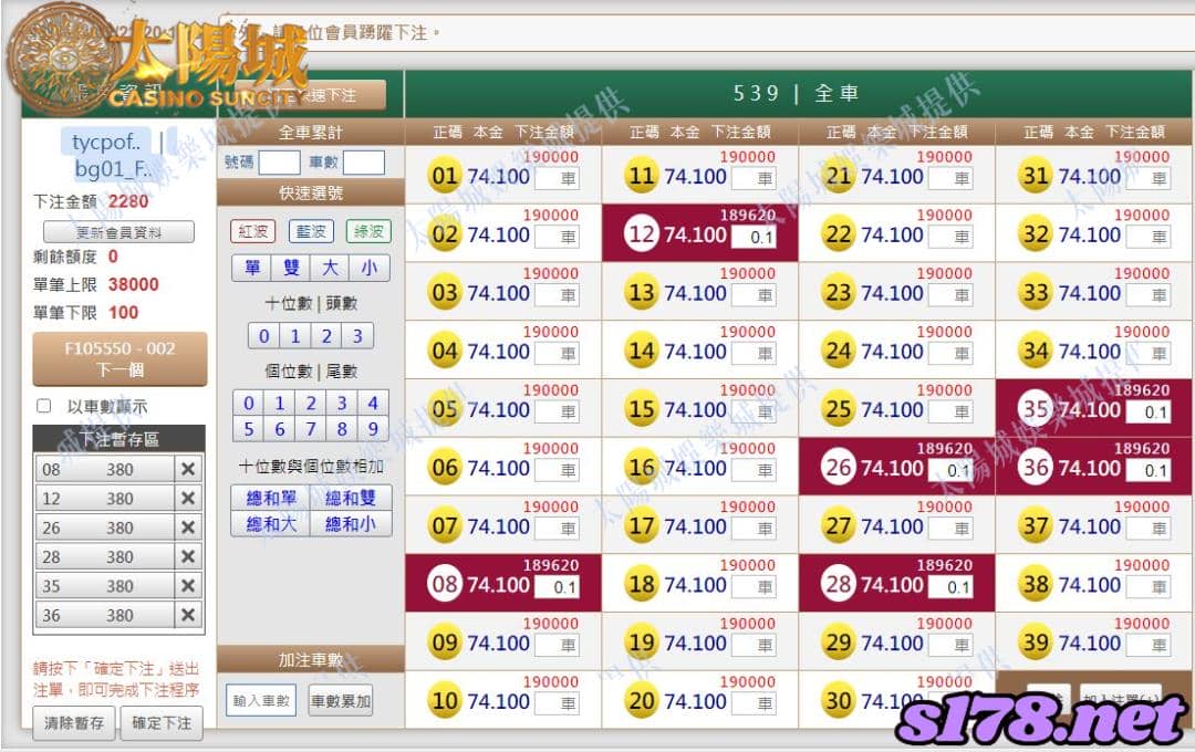 539版路下注參考圖