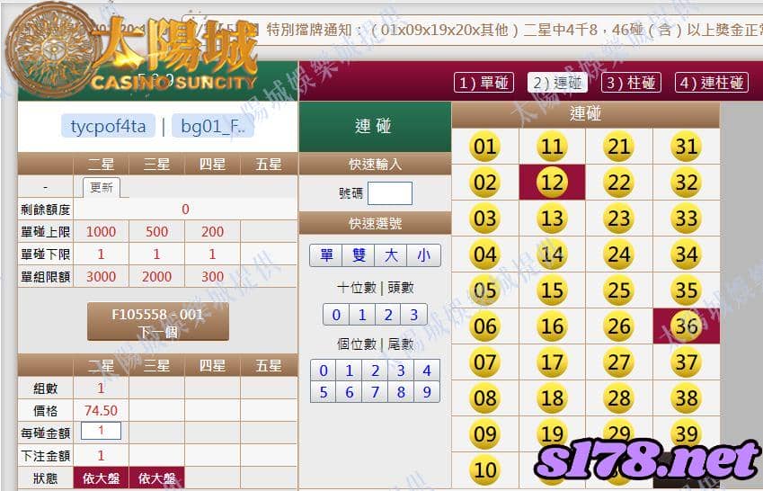 539版路下注參考圖2